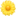 🌼